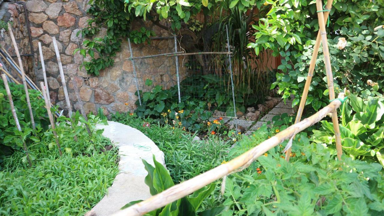 La Casa Di Elba E Mario Διαμέρισμα Porto Santo Stefano  Εξωτερικό φωτογραφία